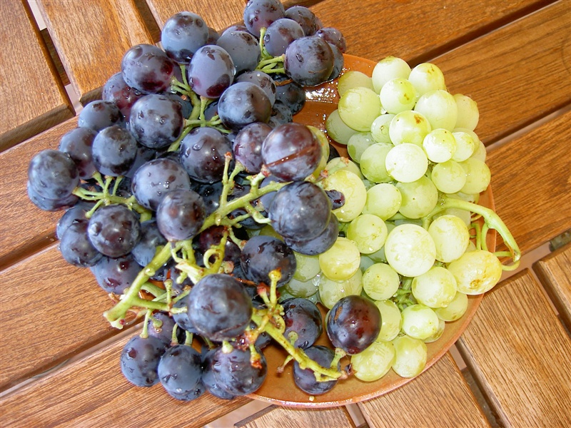 Unsere Ernte! – Foto 8